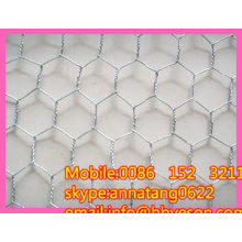 3/4" electro galvanized hex wire netting chicken wire mesh cages